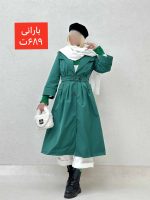بارانی بلند داخل TED - Image 3